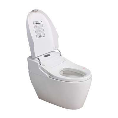 Automatic Toilet Flush Sanitary Toilet Seat Bidet Toilet