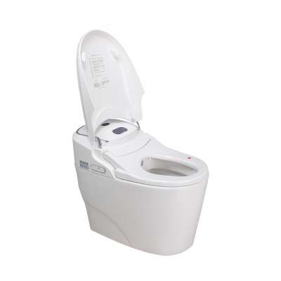 Automatic Sanitary Toilet Seat Electric Bidet Toilet Seat Cover Toilet Seat Bidet