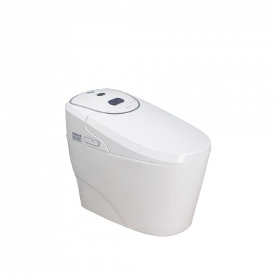 Bathroom WC Toilets Ceramic Toilets White Intelligent Smart Bidet