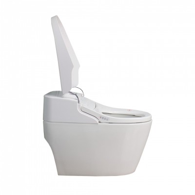 Electric Toilet Seat Bidet Heated Intelligent Smart Toilet Smart Bidet